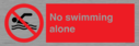 no-swimming-alone-prohibition-sign~